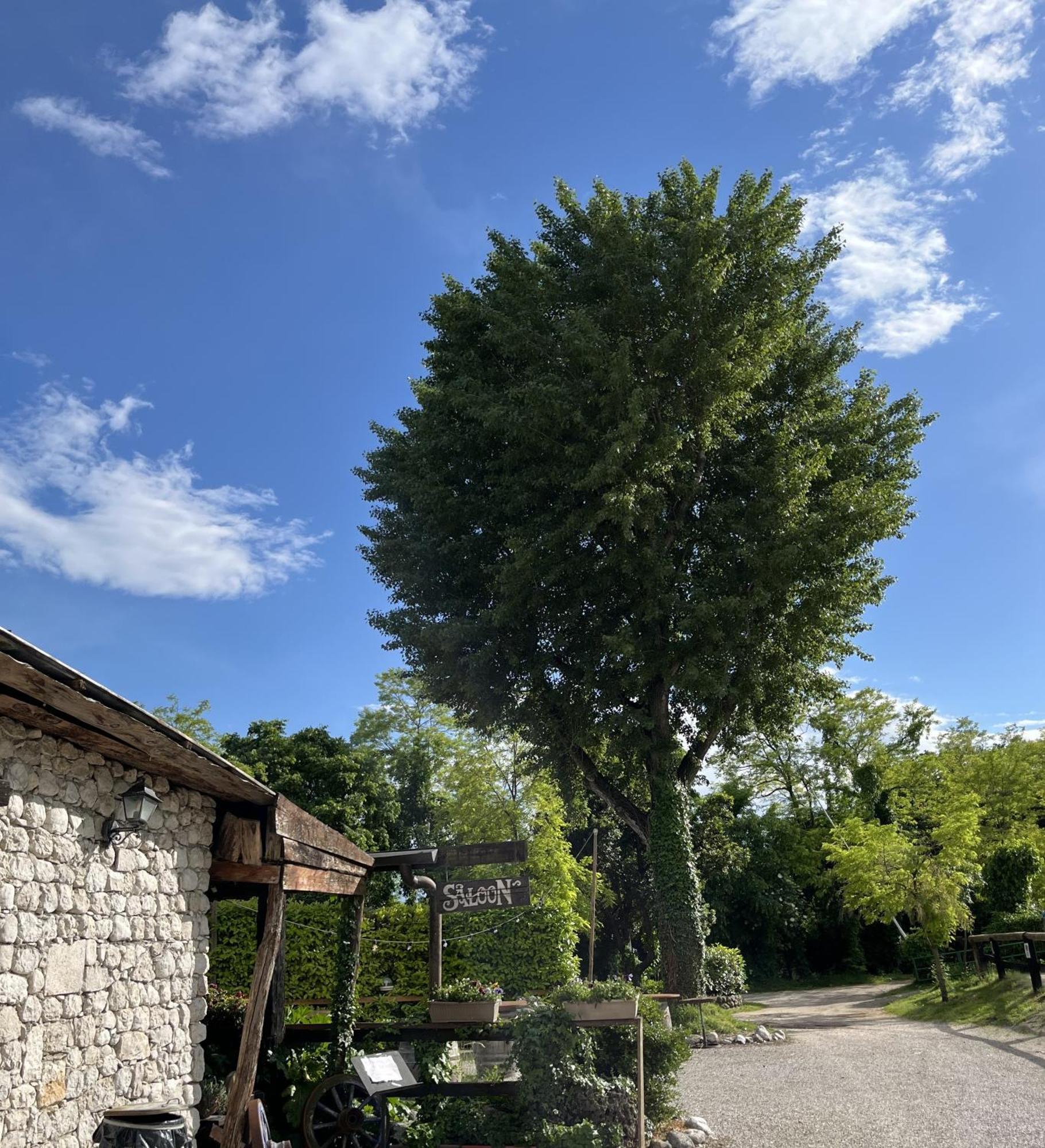 Agriturismo Al Ranch Castello d'Aviano Bagian luar foto