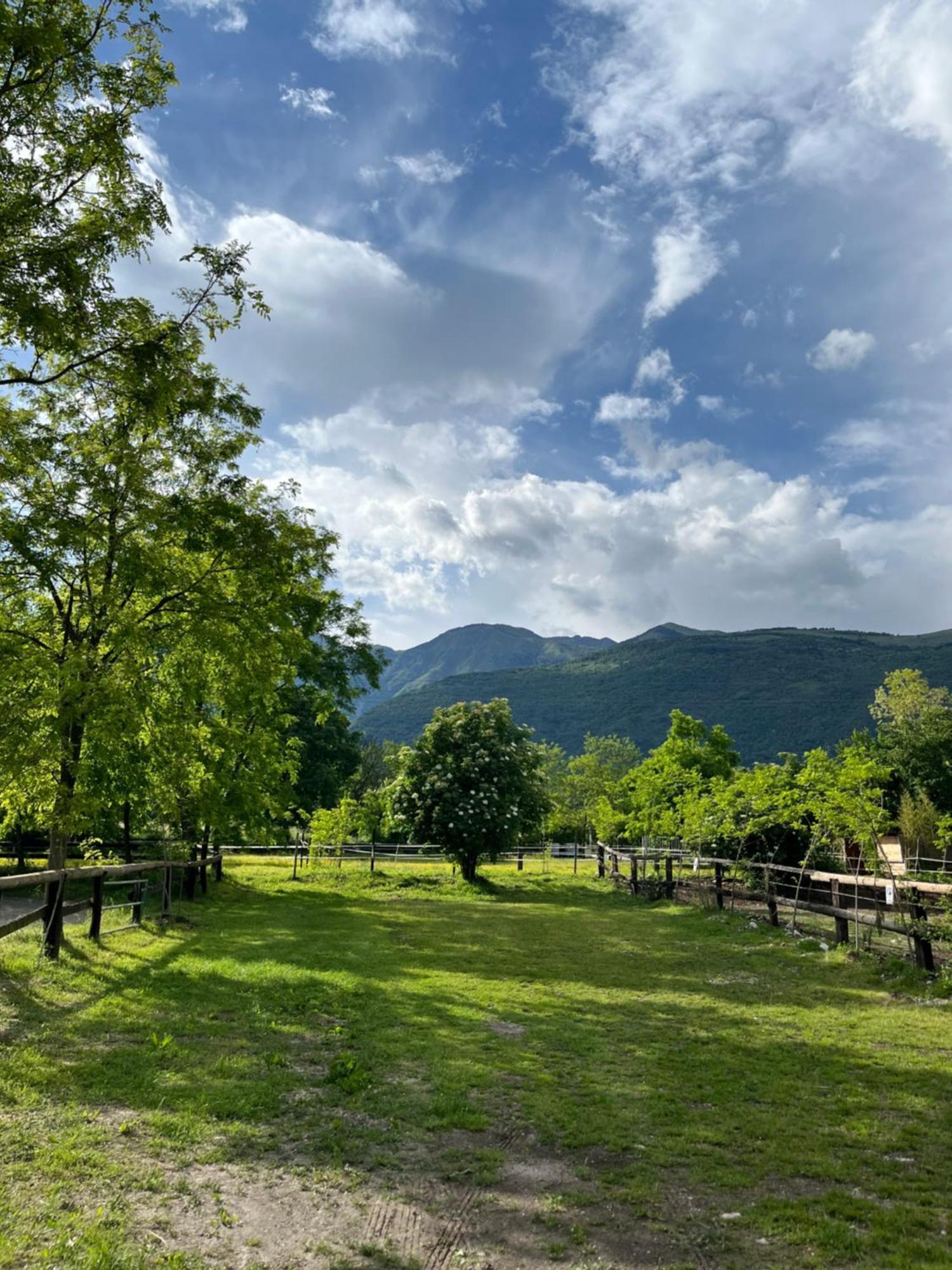 Agriturismo Al Ranch Castello d'Aviano Bagian luar foto