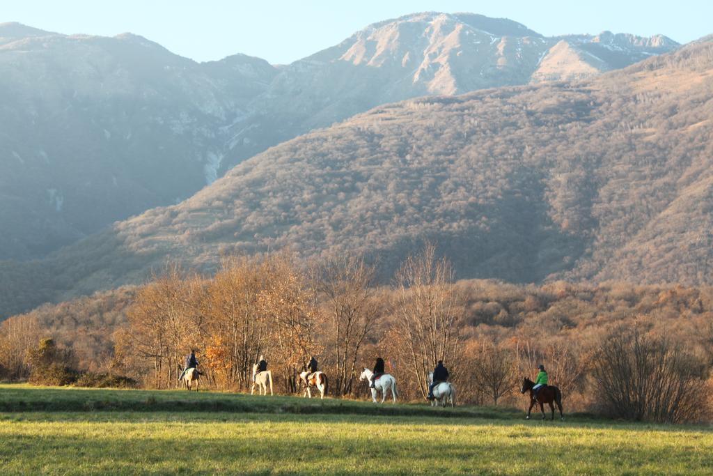 Agriturismo Al Ranch Castello d'Aviano Bagian luar foto